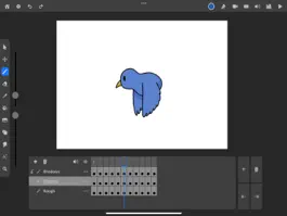 Game screenshot Canvas Software - Animate apk