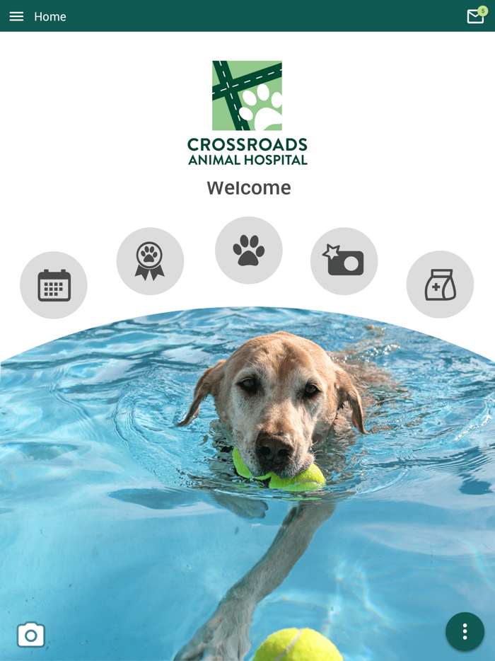 Crossroads Animal Hosp