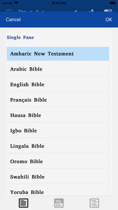 African Ten Languages Screenshot