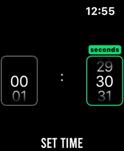 Precision Match Timer screenshot #7 for Apple Watch