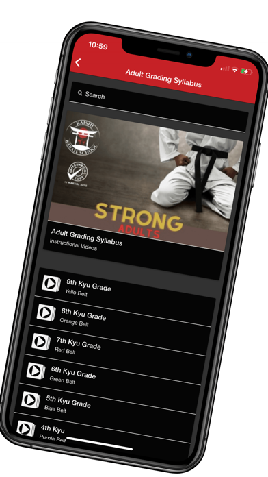 Kaishi Karate Screenshot