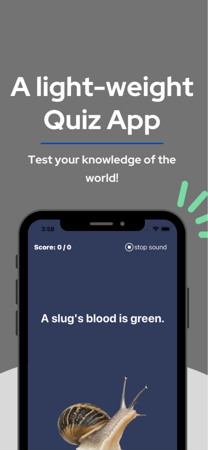 quizzller