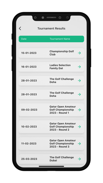 The Golf Challenge Screenshot