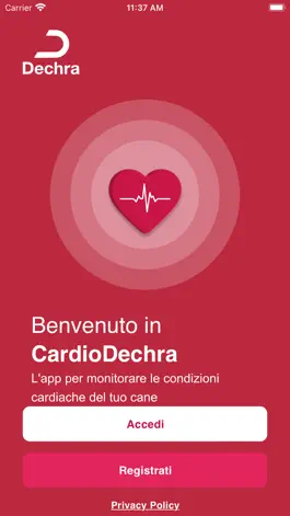 Game screenshot CardioDechra mod apk