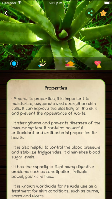 myRemedy: Medicinal plants Screenshot