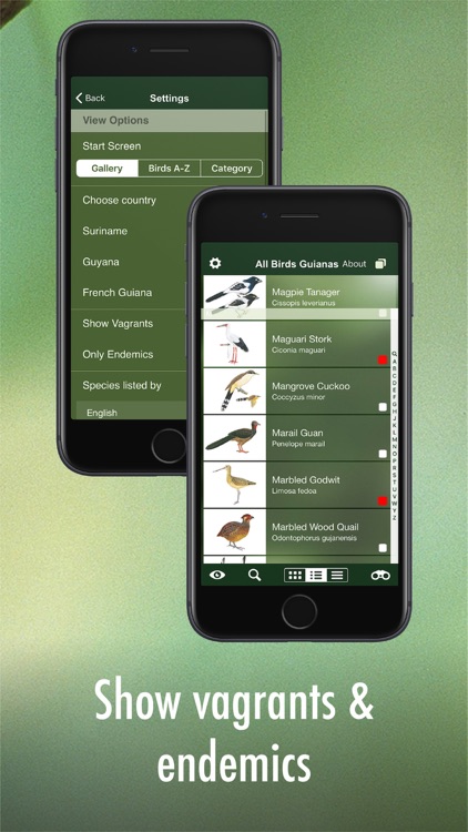 All Birds Guianas screenshot-4