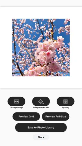 Game screenshot Grid Spacer apk