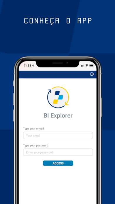 BI Explorer Screenshot