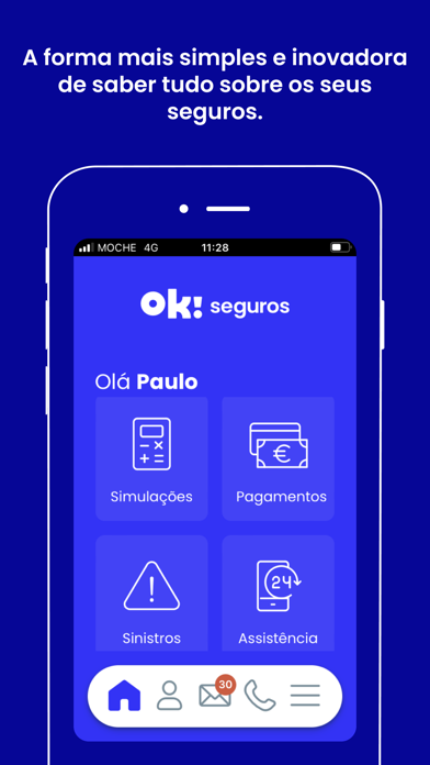 ok! seguros Screenshot