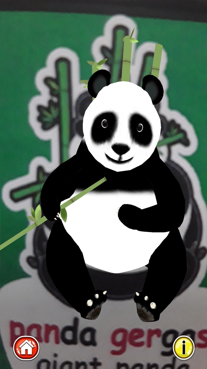 Carta Pendidikan AR 15