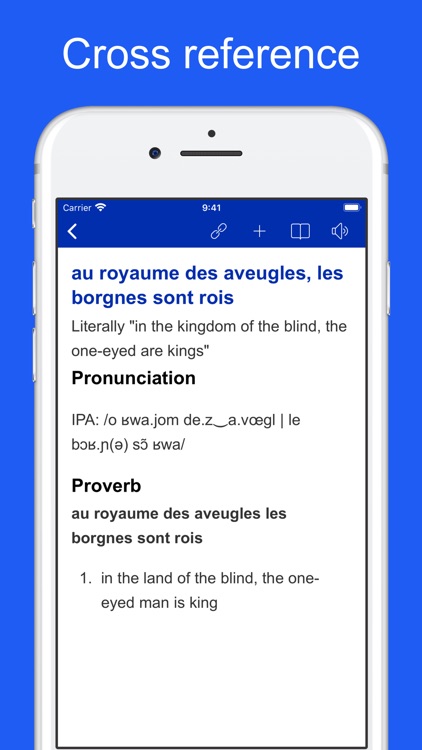 French Idiom Dictionary