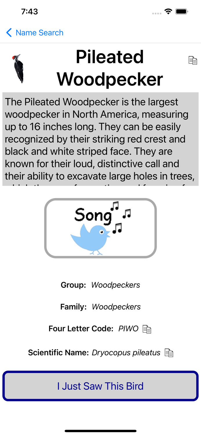 Bird Field Guide for Kids