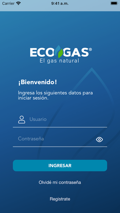 ECOGAS Screenshot