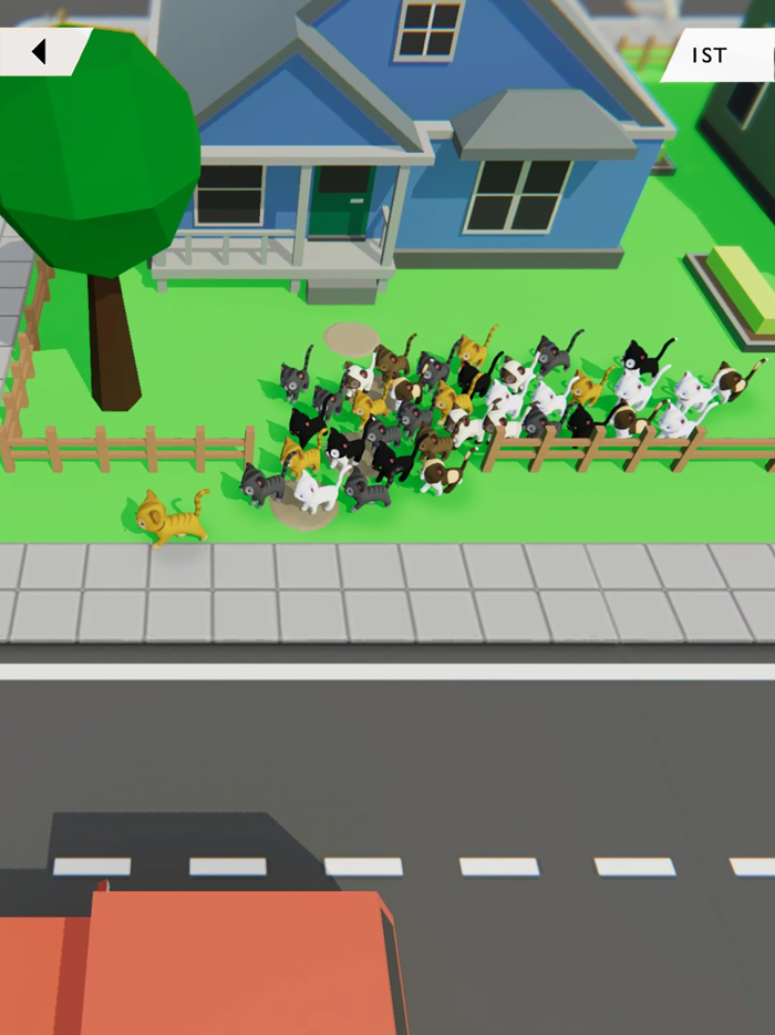 KITT.IO Cat Arena Showdown