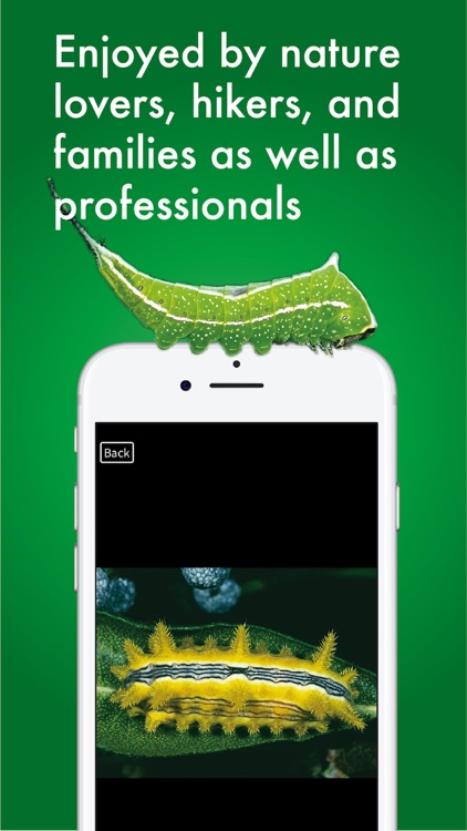 Caterpillar Id USA East Coast screenshot-5