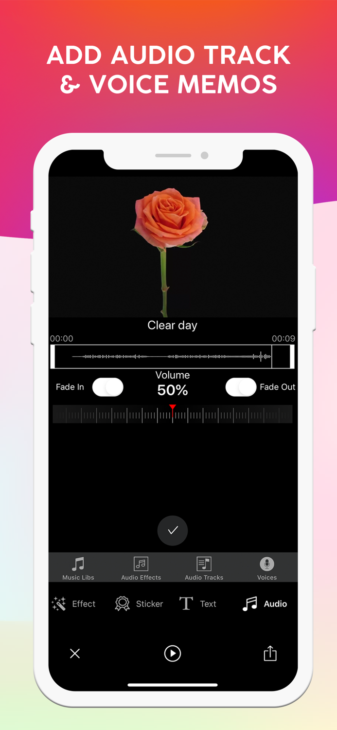 Reverser Camera Loop Repeator