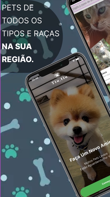 Tiutiu: Adoção de animais