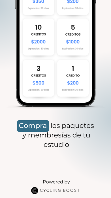 Studio Pilates Culiacán Screenshot