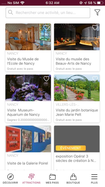 Nancy City Pass screenshot-4