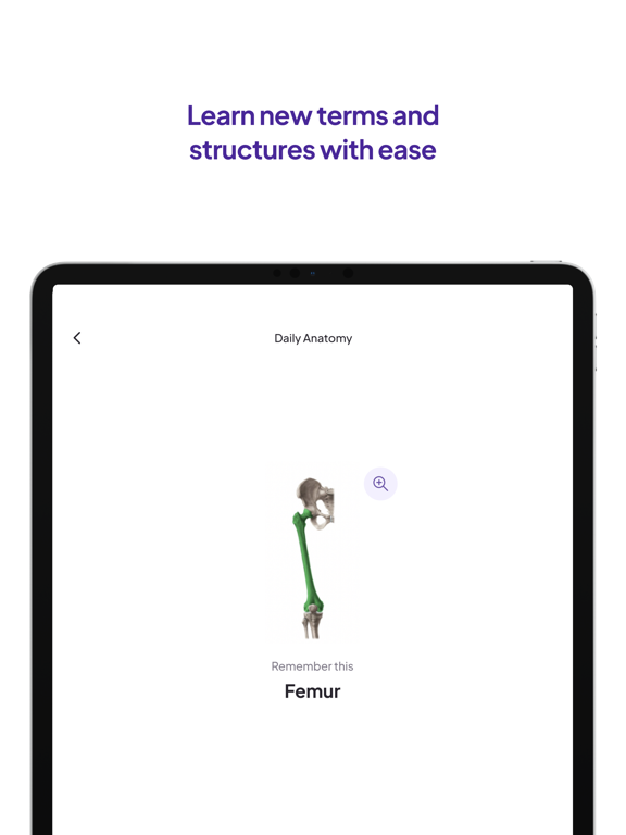 Screenshot #6 pour Daily Anatomy Flashcards