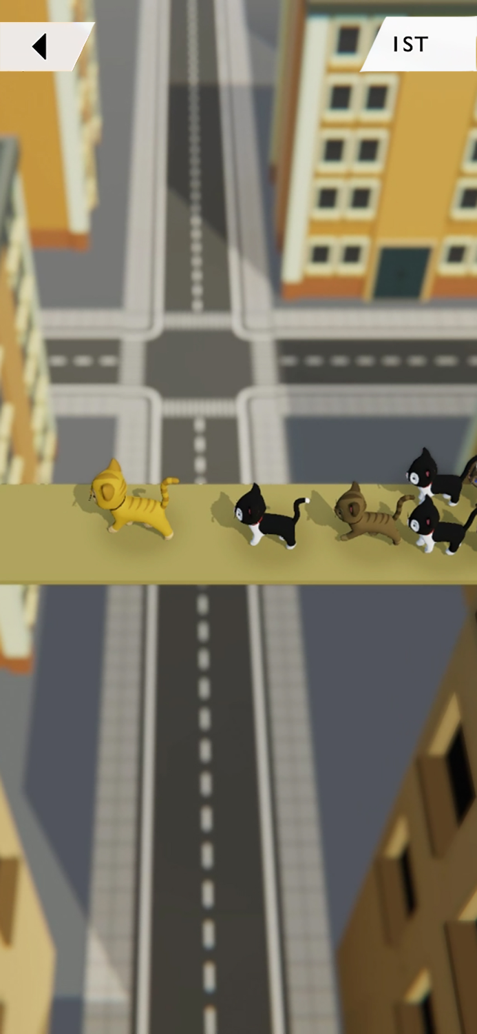 KITT.IO Cat Arena Showdown