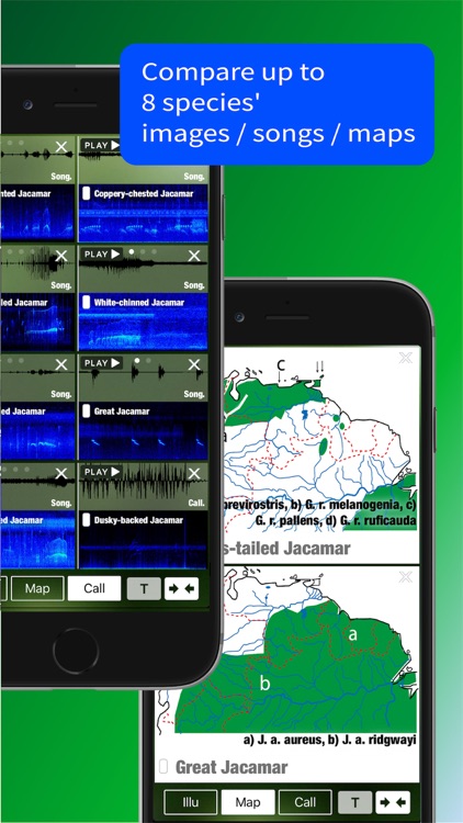 All Birds North. South America screenshot-8