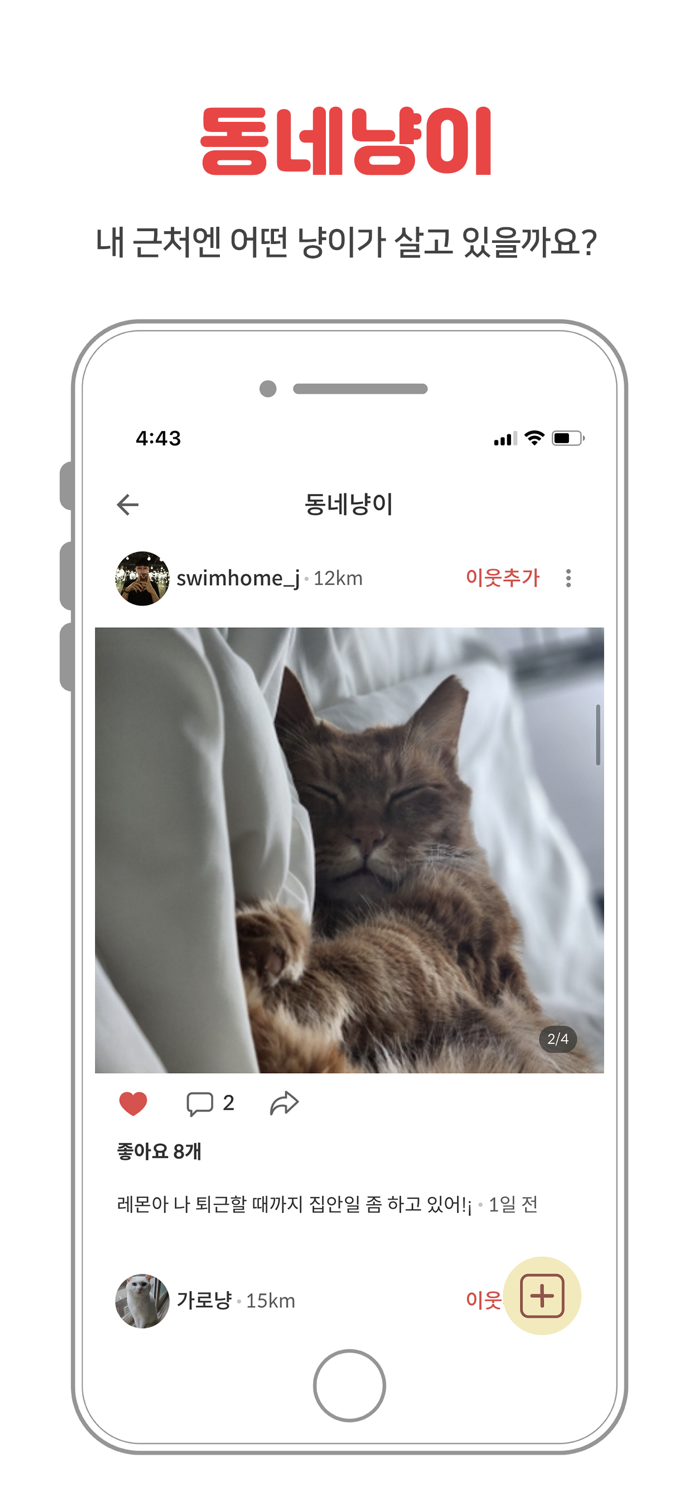 펫시터 산책 방문탁묘 캣시터 애견호텔 반려동물 펫보험