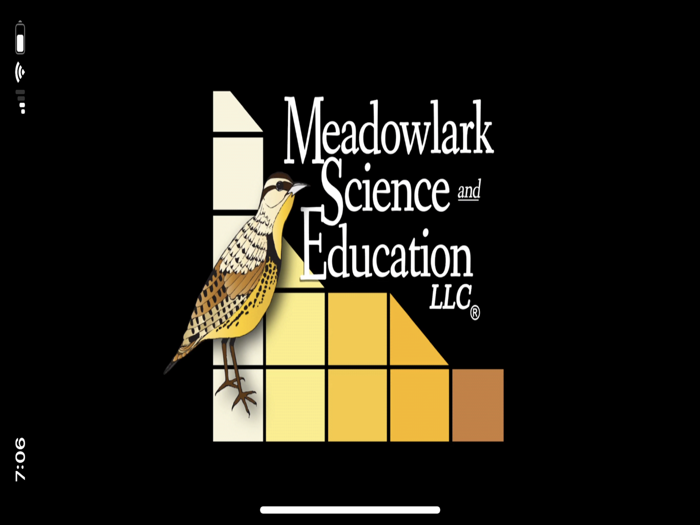 The Mice of Riddle Place Izzy