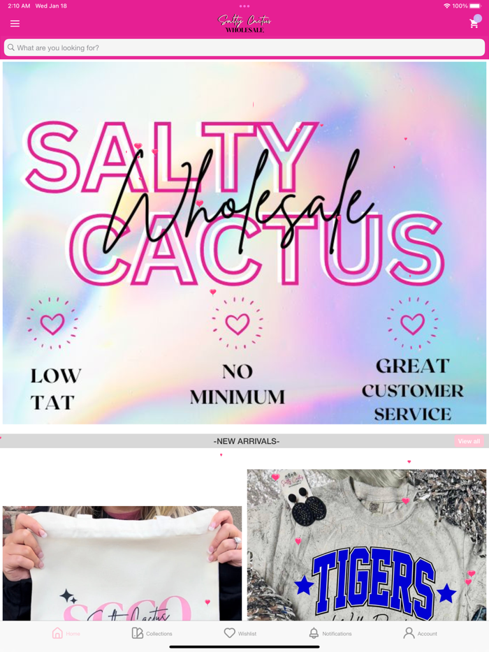 Salty Cactus Wholesale