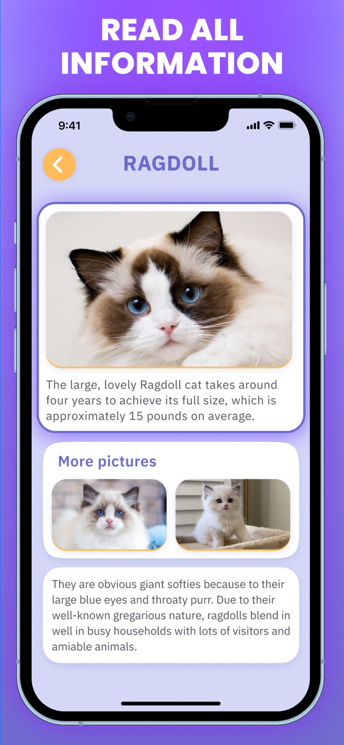 Cat Scanner  Breed Identifier