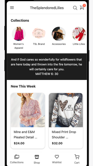 TSLB Screenshot