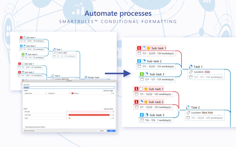 MindManager Screenshot