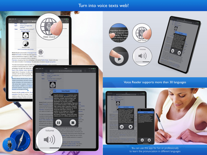 Voice Reader For Web Pro