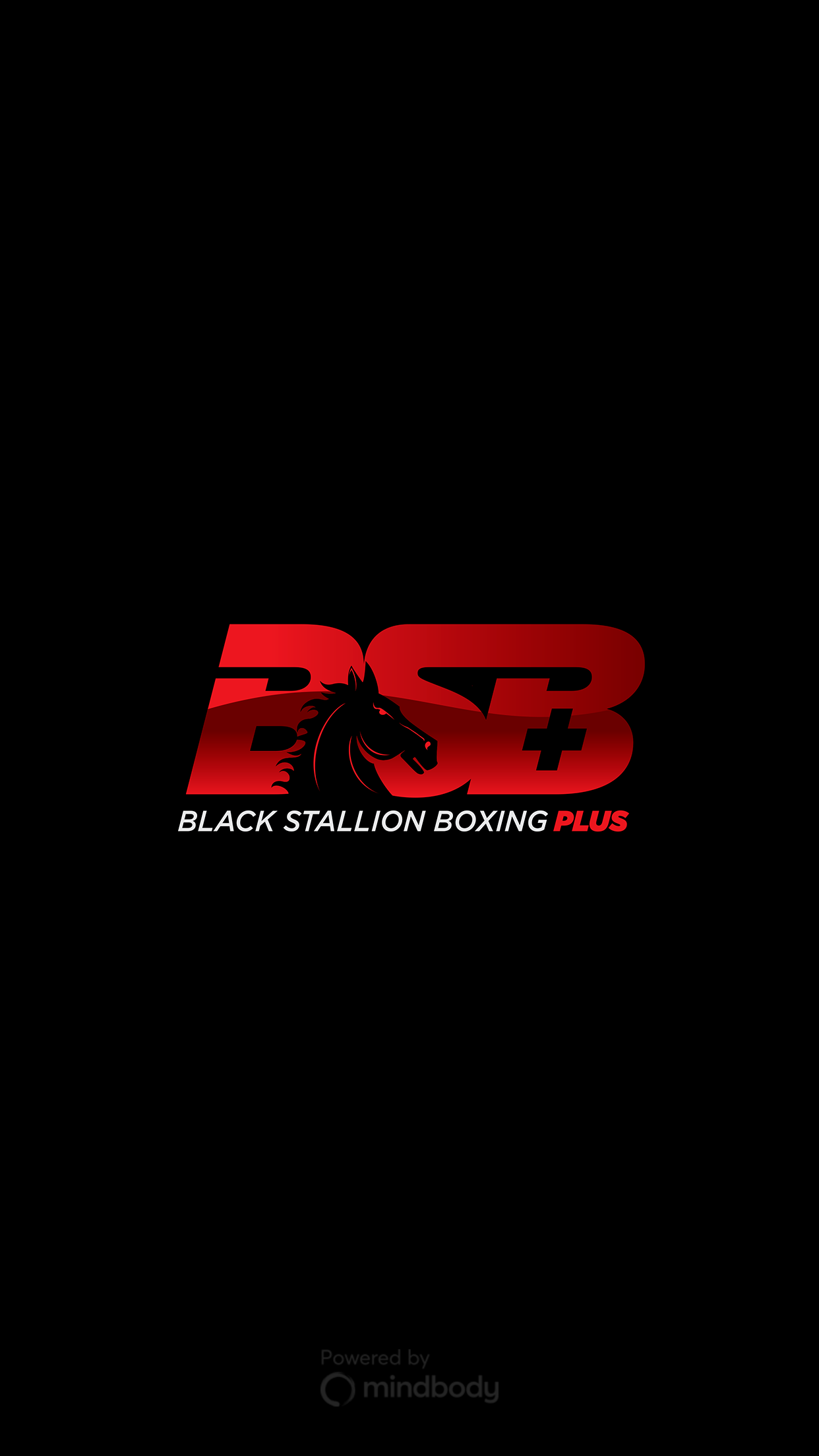 Black Stallion Boxing Plus