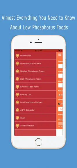 Game screenshot Low Phosphorus Foods mod apk