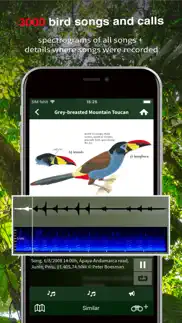 all birds ecuador field guide iphone screenshot 4