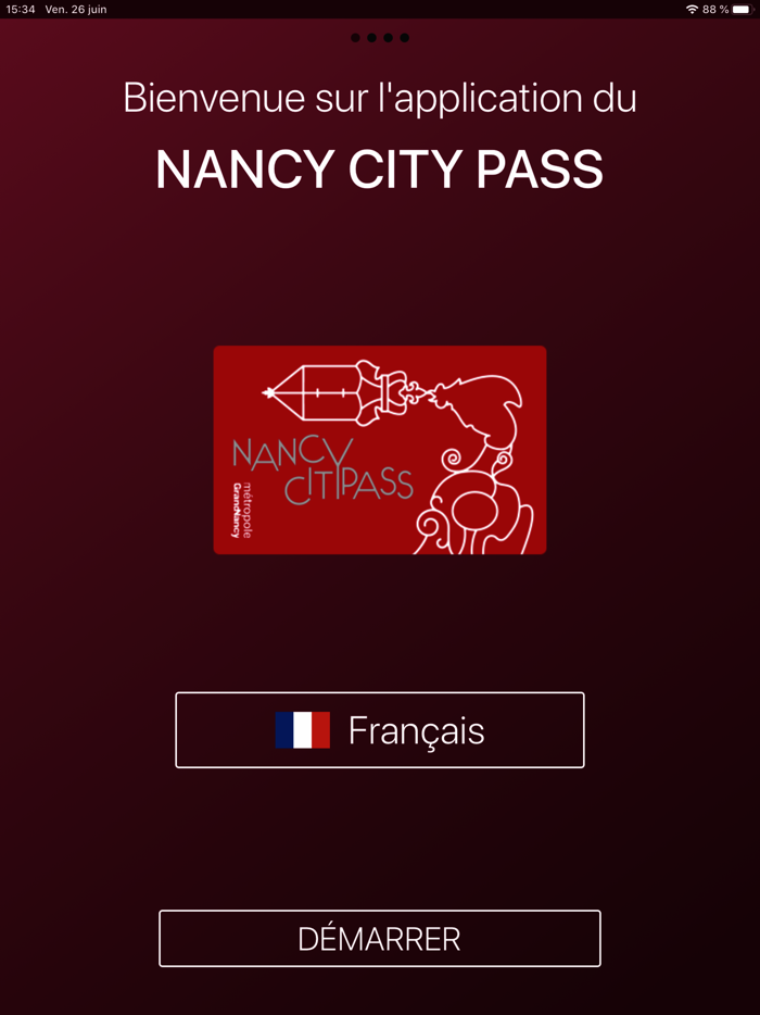 Nancy City Pass