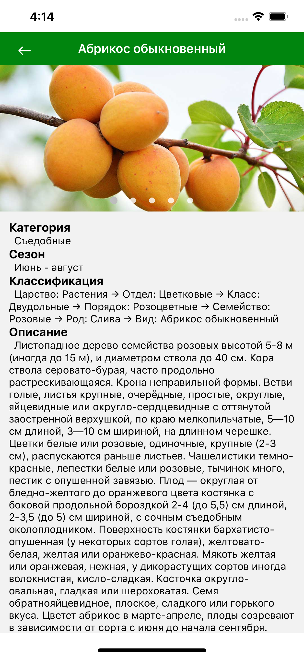 Лекарственные растения мира