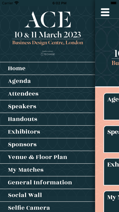 ACE 2023 Screenshot