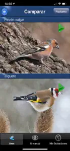 Cantos de Aves Id screenshot #4 for iPhone