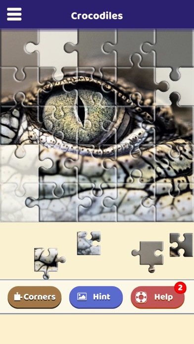 Crocodile Lovers Puzzle Screenshot