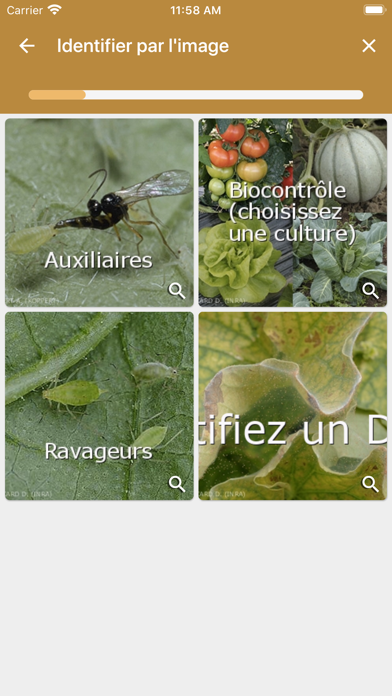 Diagnoplant biocontrôle Screenshot