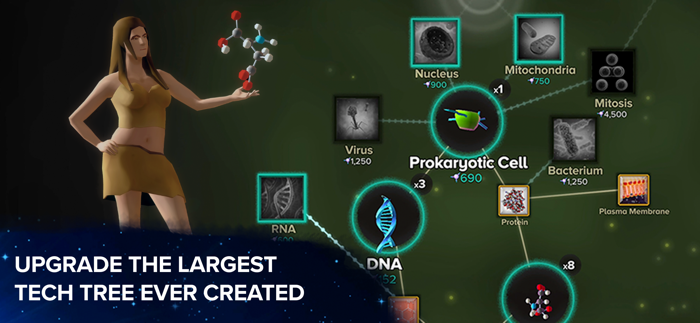 Cell to Singularity Evolution