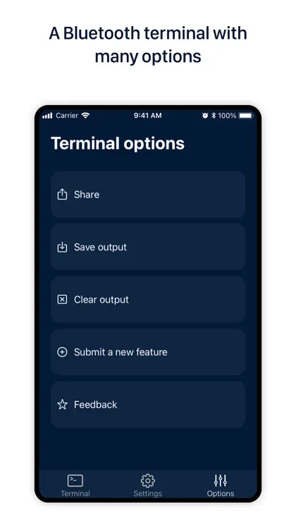 Screenshot 5 von 5 zu Blueterminal