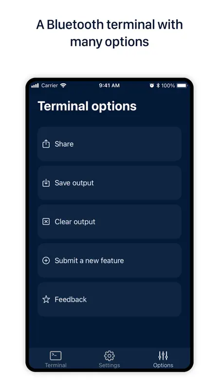 Blueterminal screenshot 5 of 5