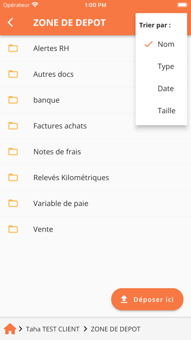 Cabinet Lesage Screenshot