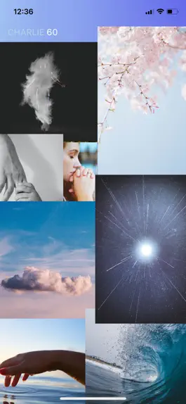 Game screenshot CHARLIE60 - AI Mood Board hack