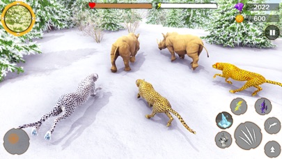 Wild Cheetah Family Sim 3D Screenshot