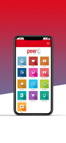 Game screenshot Peer Online hack