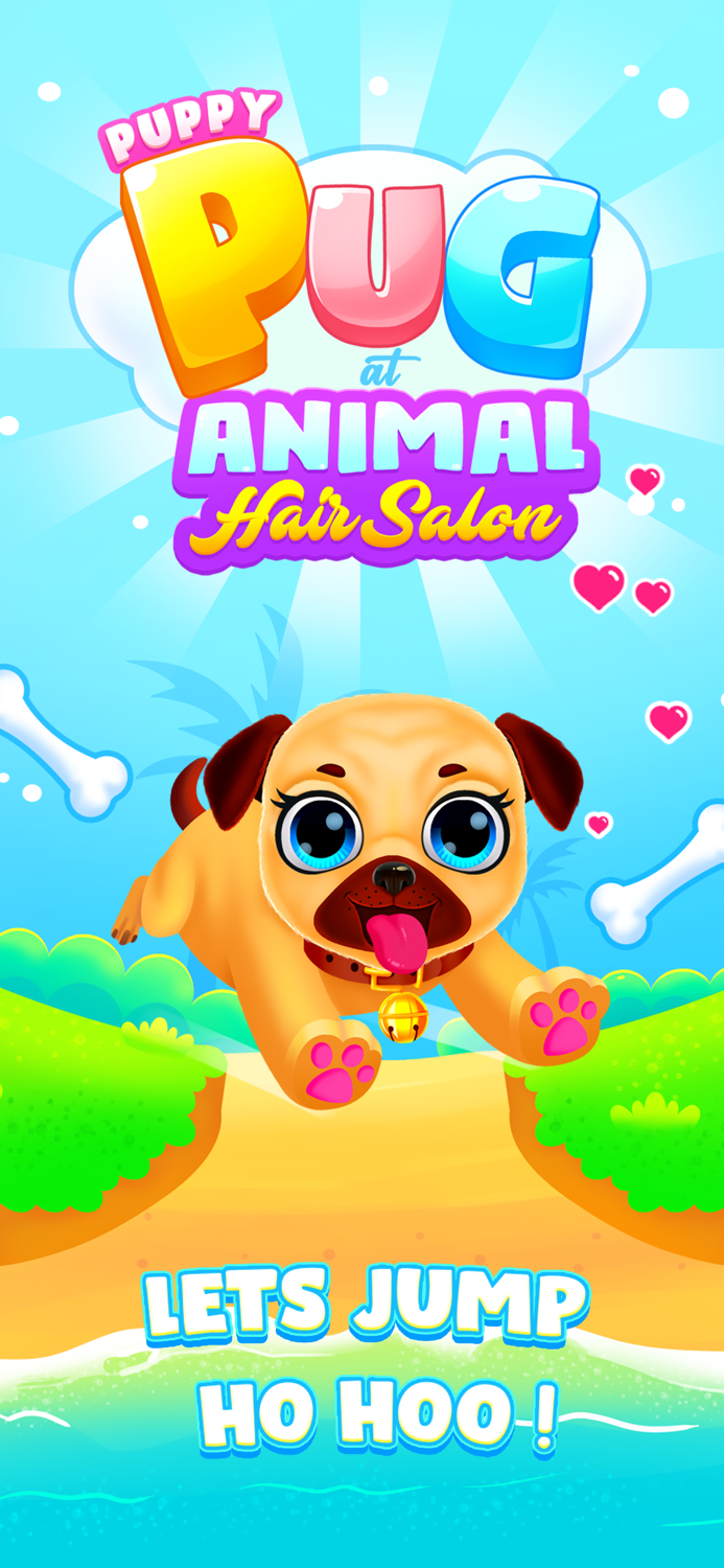 Puppy Pug at Animal Hair Salon